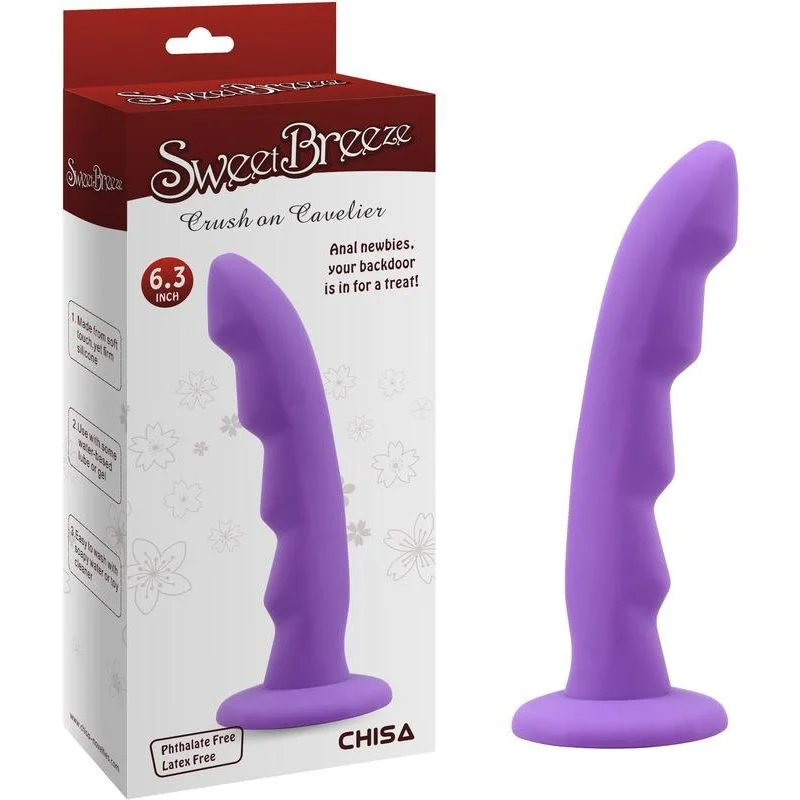 soft glass silver dildo-Dildo - Sweet Breeze - Crush On Cavalier 6.5 pouces